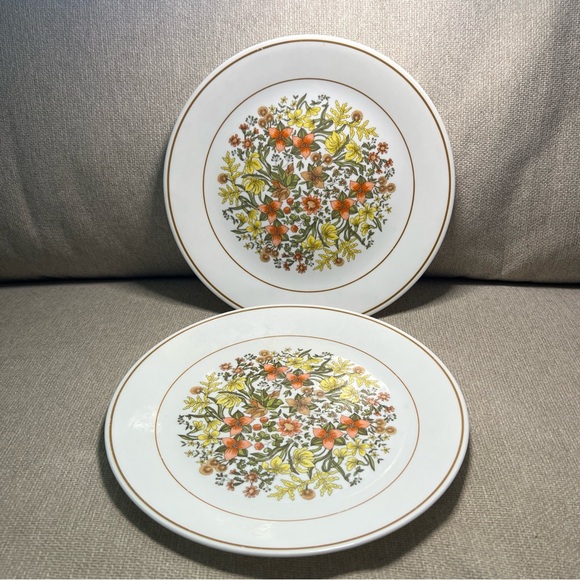Lot Of 2 Vintage Corelle 10 1/4" INDIAN SUMMER Dinner Plates - Picture 2 of 6